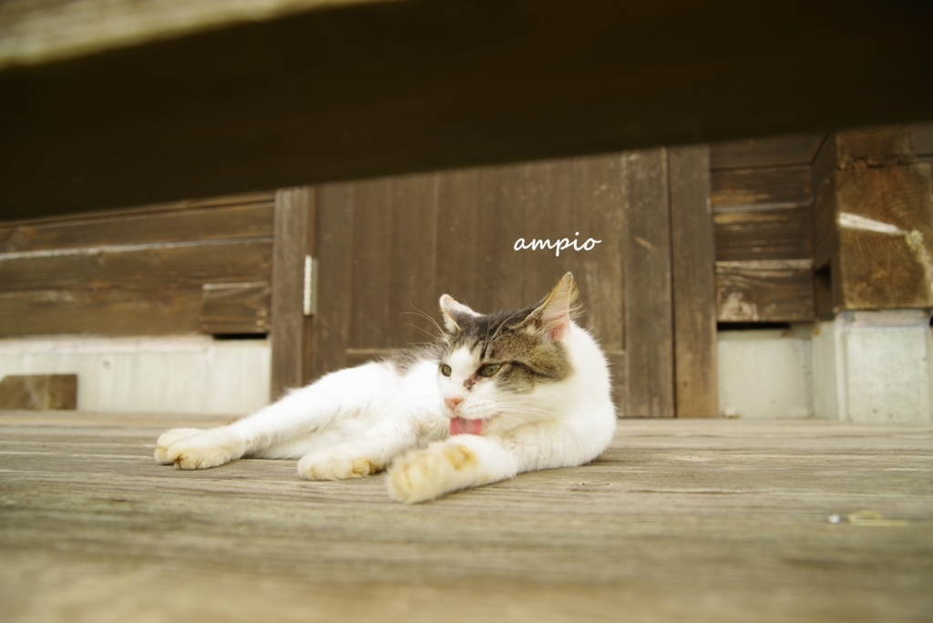 f:id:ampio:20171113201215j:plain f:id:ampio:20171113201215j:plain