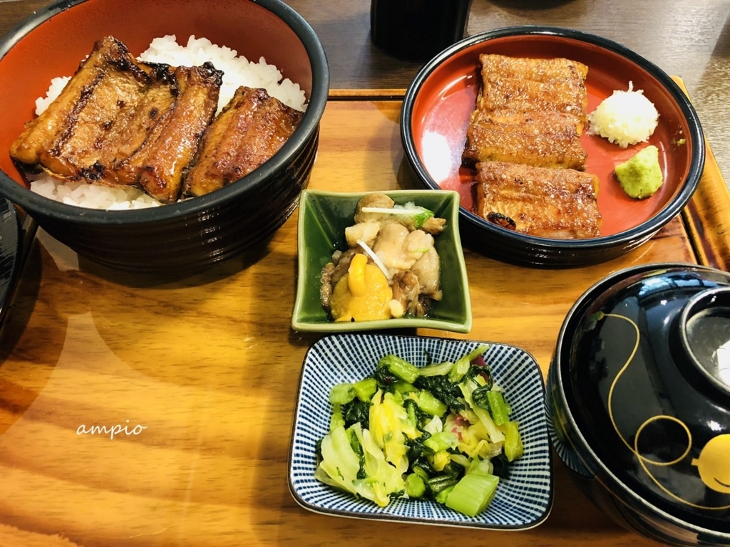 f:id:ampio:20180714132929j:plain f:id:ampio:20180714132929j:plain