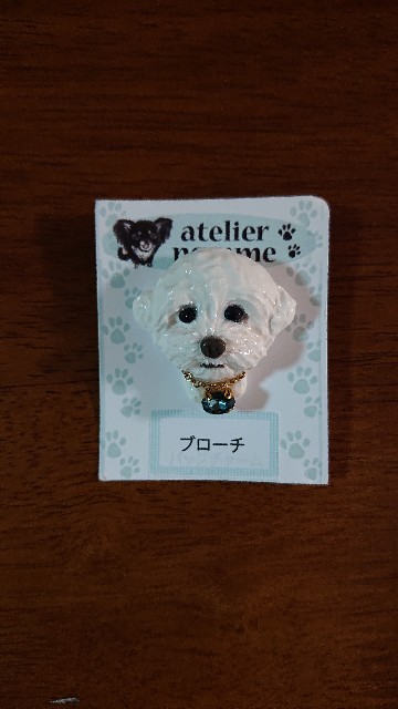f:id:amsl:20231129121957j:image