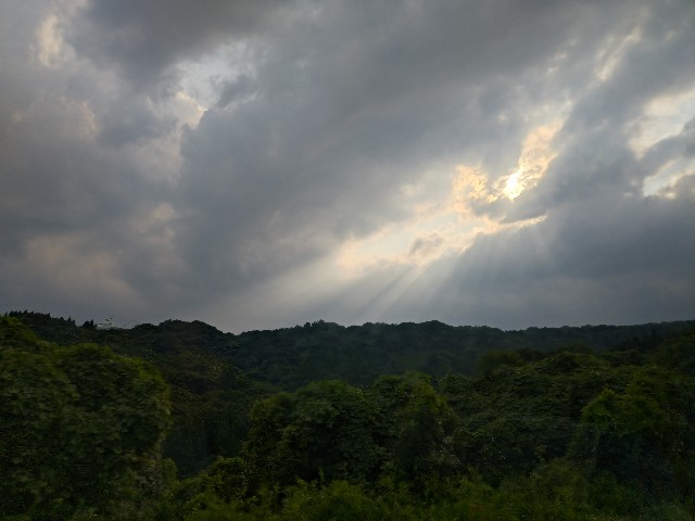 f:id:amsl:20240727182145j:image