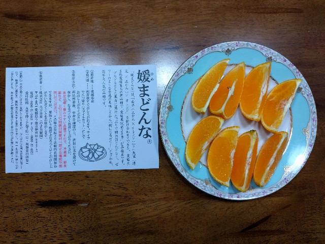 f:id:amsl:20250102191319j:image