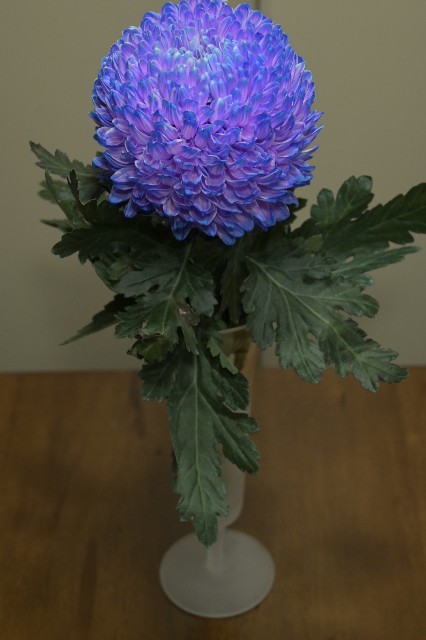 f:id:amsl:20250609011332j:image