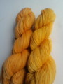 20100819105936