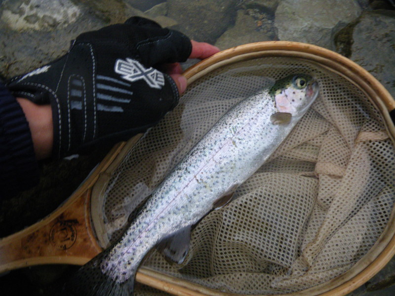 20100613184926