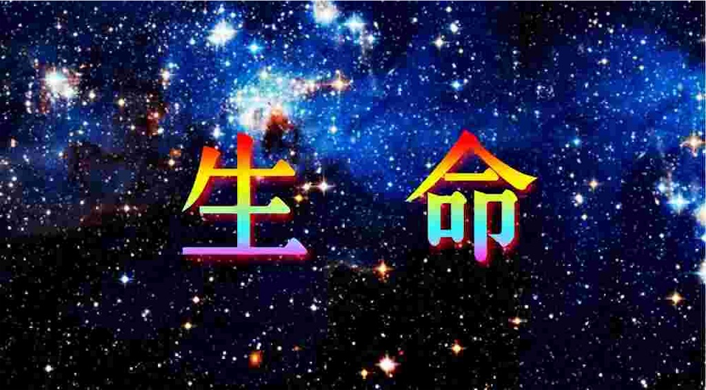 f:id:amukuso:20190305191237j:image