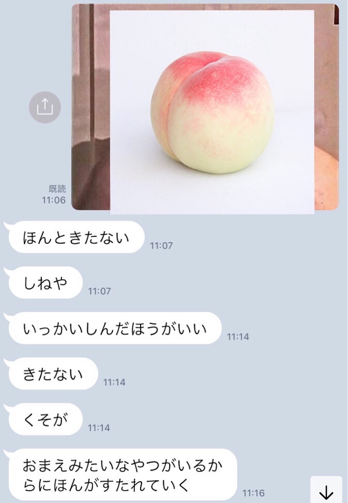 f:id:amukuso:20190615231056j:image