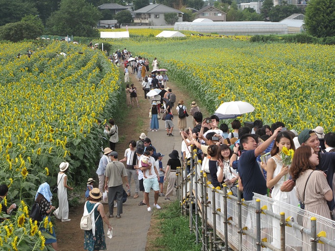 f:id:amullar:20190817211158j:plain f:id:amullar:20190817211158j:plain