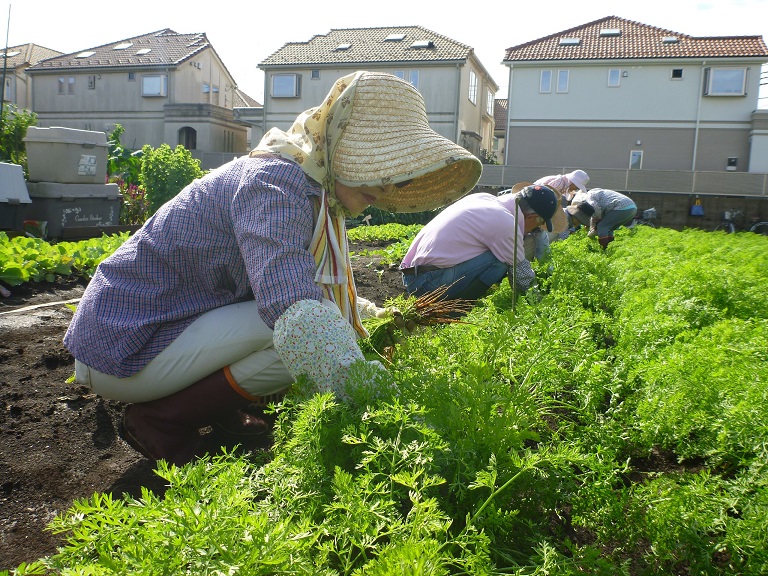 f:id:amullar:20190917210922j:plain f:id:amullar:20190917210922j:plain