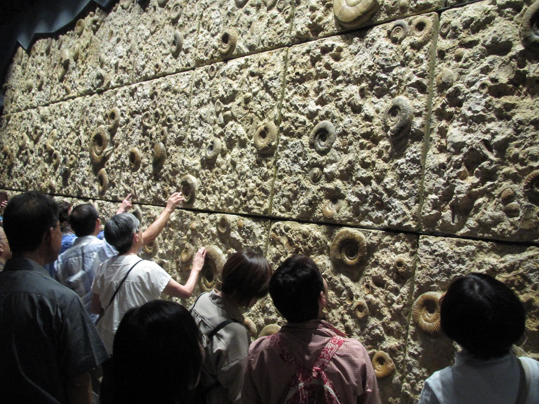 f:id:amullar:20191002235216j:plain