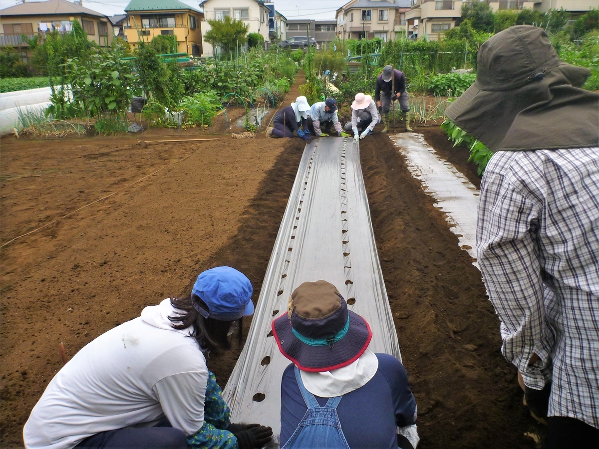 初めての畑作業 仲間意識も芽を出す 西東京まちかどニュース