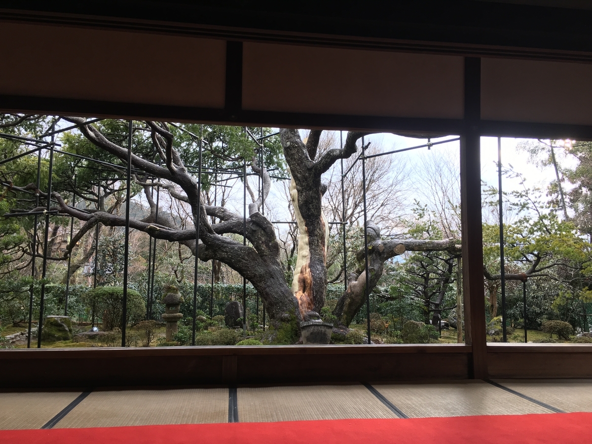 f:id:amumbrella:20190628002701j:plain