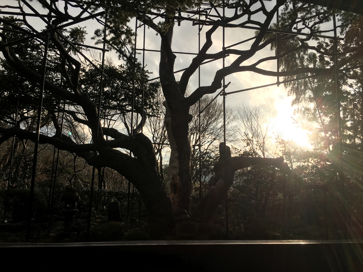 f:id:amumbrella:20190628003547j:plain