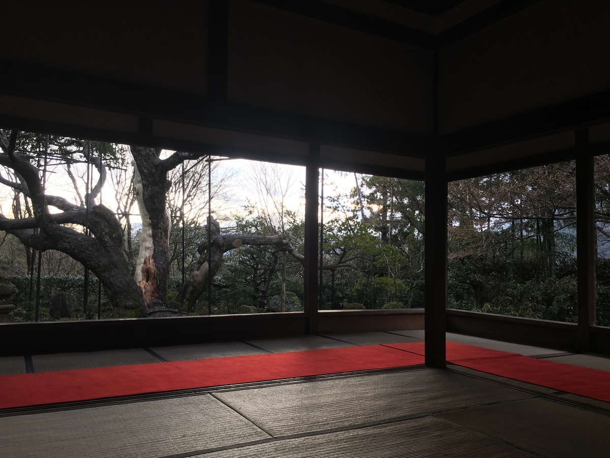 f:id:amumbrella:20190628004039j:plain