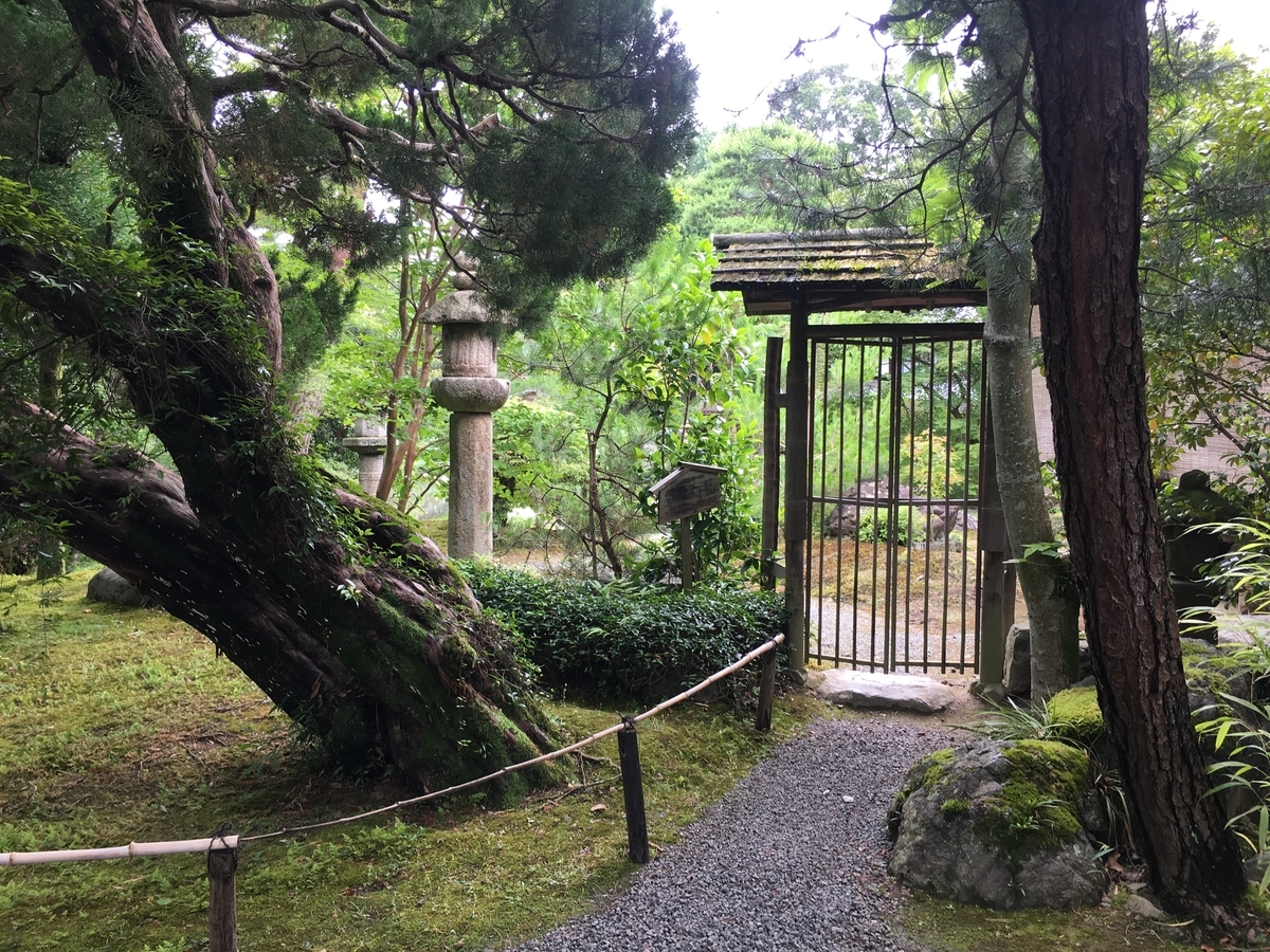 f:id:amumbrella:20190629022334j:plain