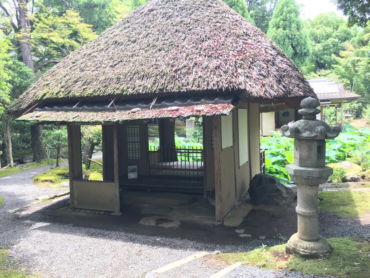 f:id:amumbrella:20190629023133j:plain