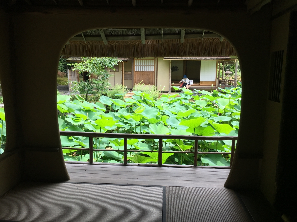 f:id:amumbrella:20190629023206j:plain