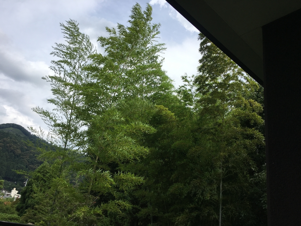 f:id:amumbrella:20190629024928j:plain