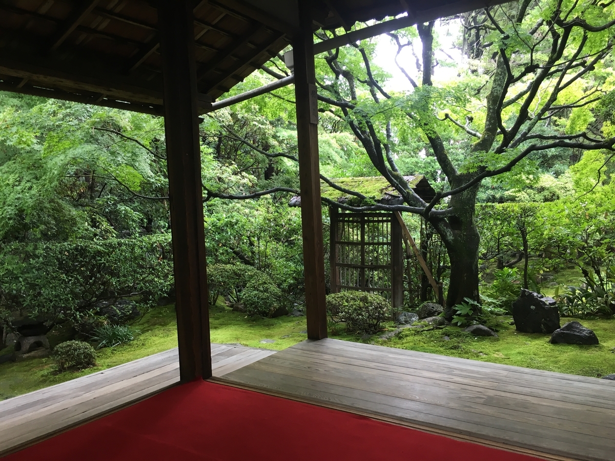 f:id:amumbrella:20190701212033j:plain