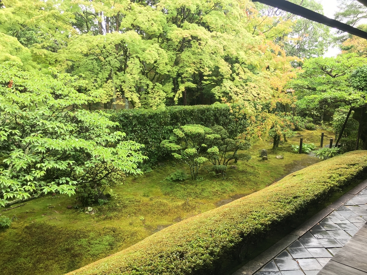 f:id:amumbrella:20190701212938j:plain