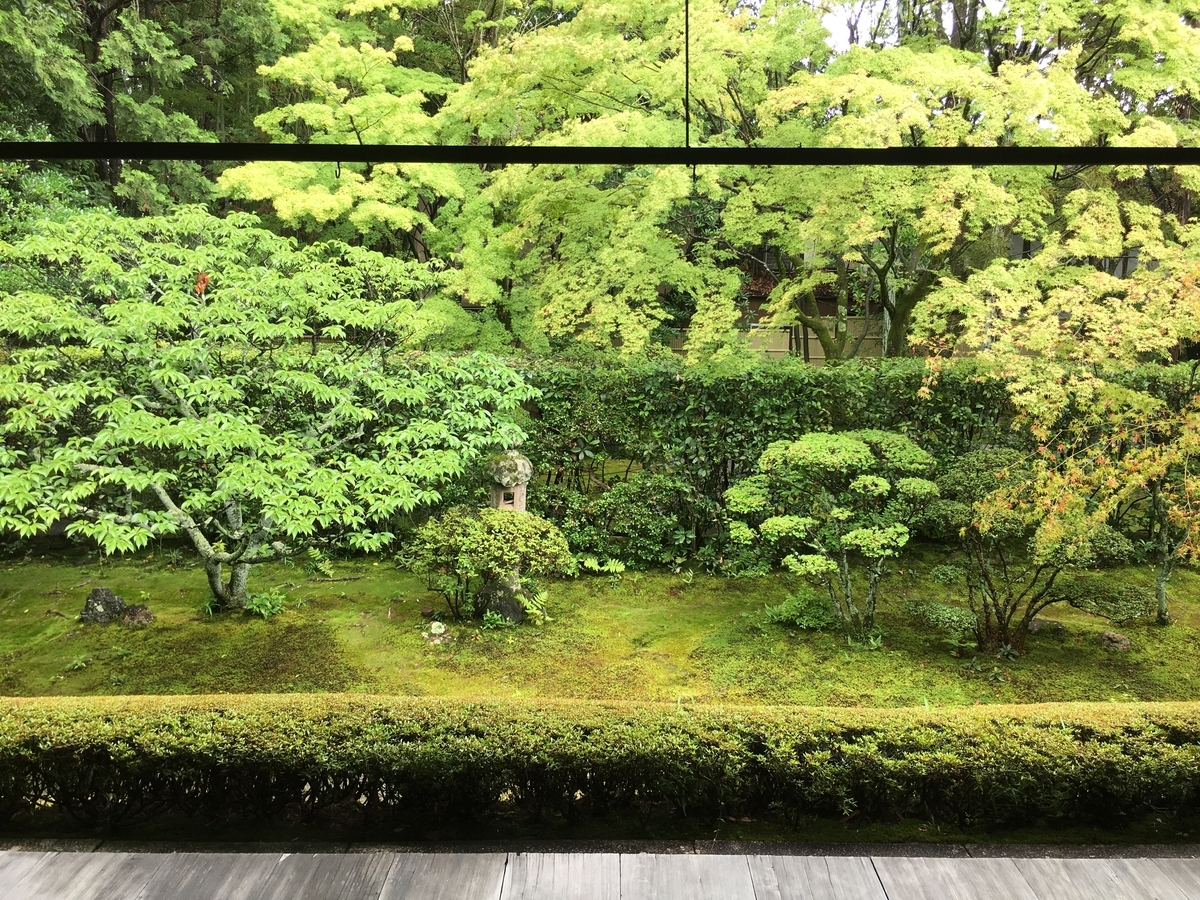 f:id:amumbrella:20190701213121j:plain