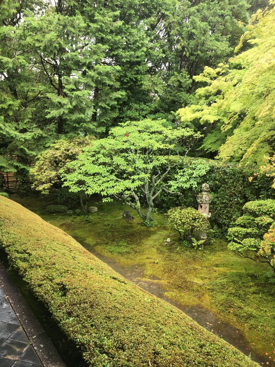 f:id:amumbrella:20190701213633j:plain