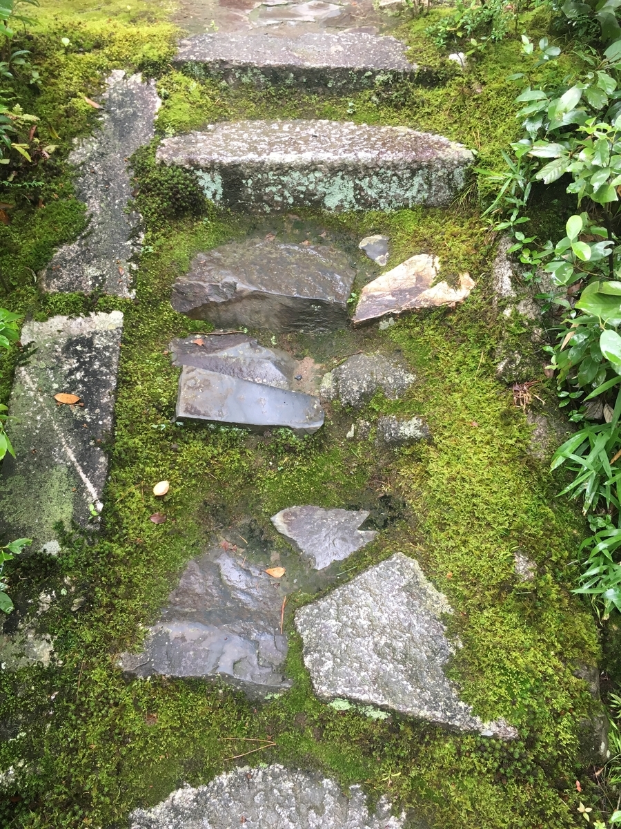 f:id:amumbrella:20190701214608j:plain