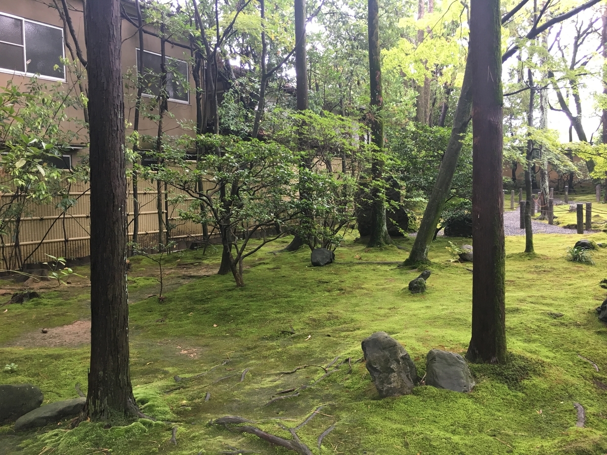 f:id:amumbrella:20190701214651j:plain