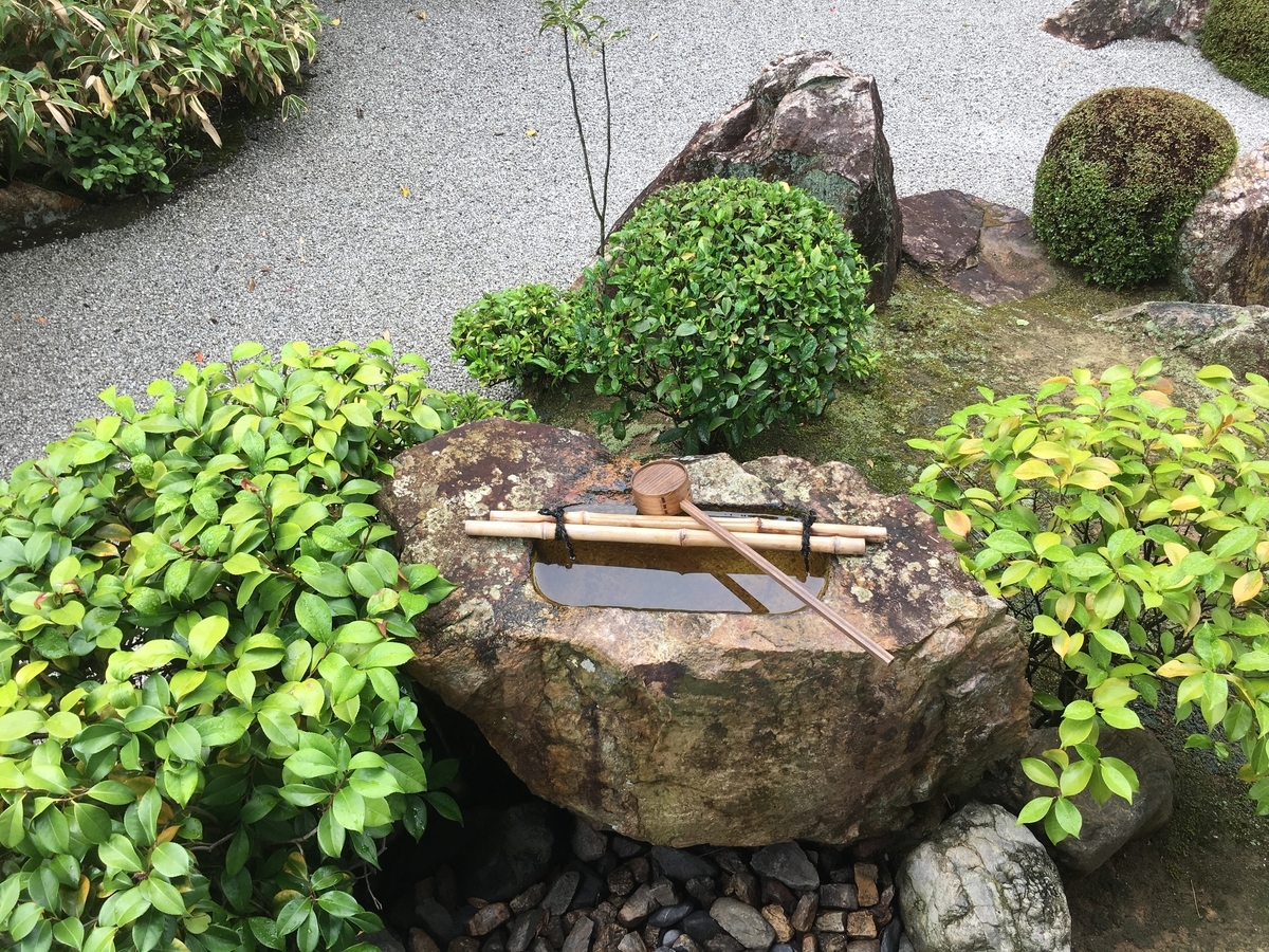 f:id:amumbrella:20190701220440j:plain