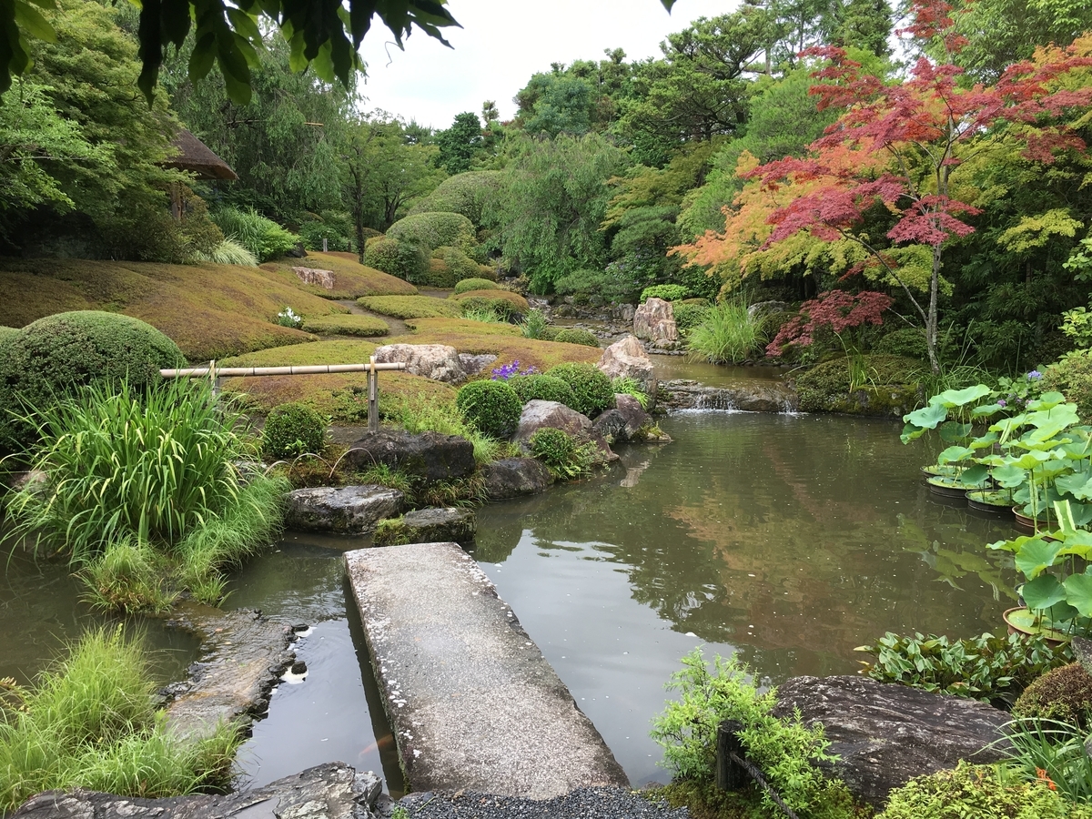 f:id:amumbrella:20190701222753j:plain