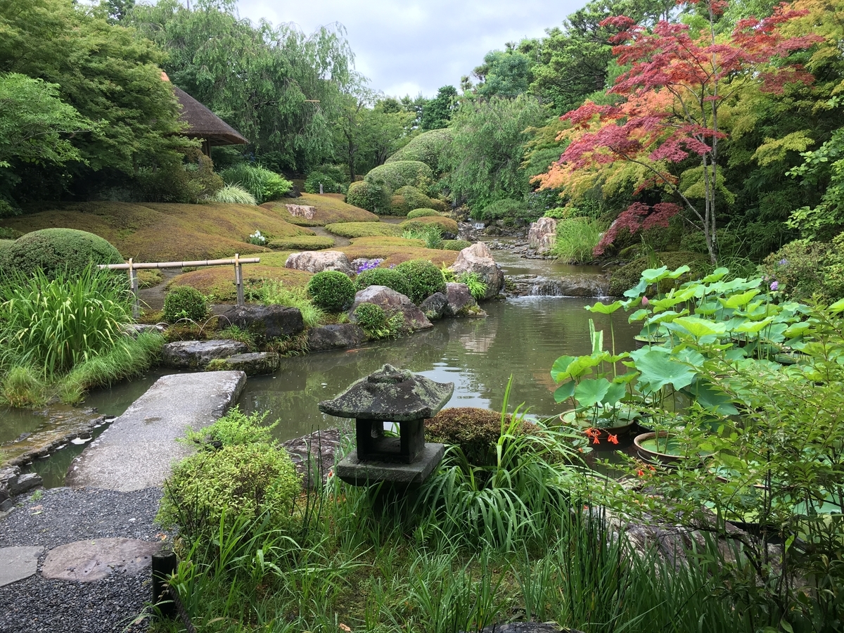 f:id:amumbrella:20190701222929j:plain