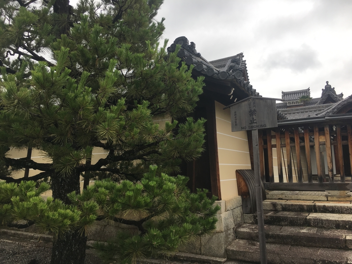 f:id:amumbrella:20190701224705j:plain