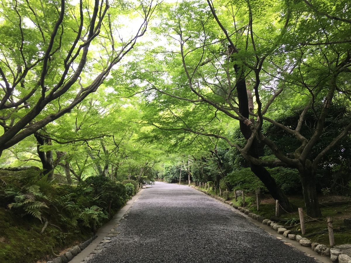 f:id:amumbrella:20190703232859j:plain
