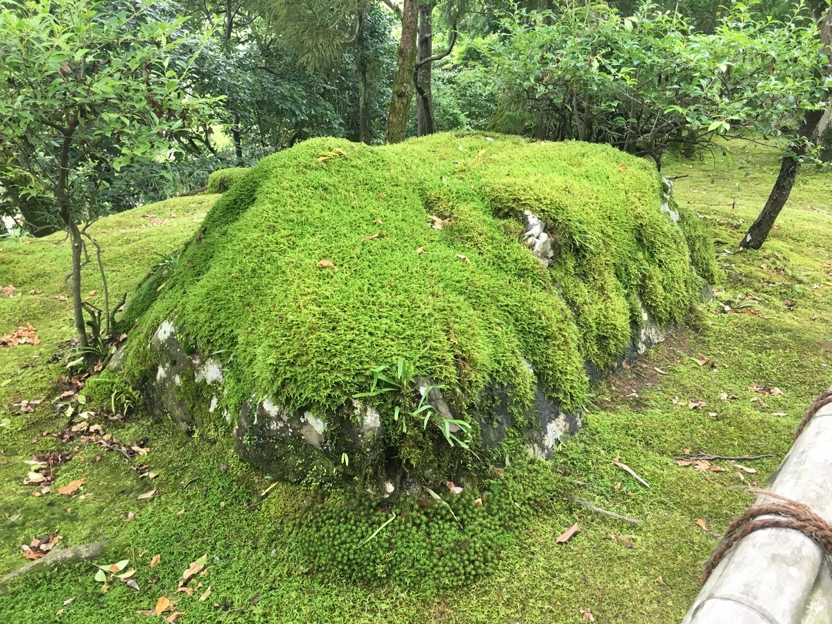 f:id:amumbrella:20190703233346j:plain