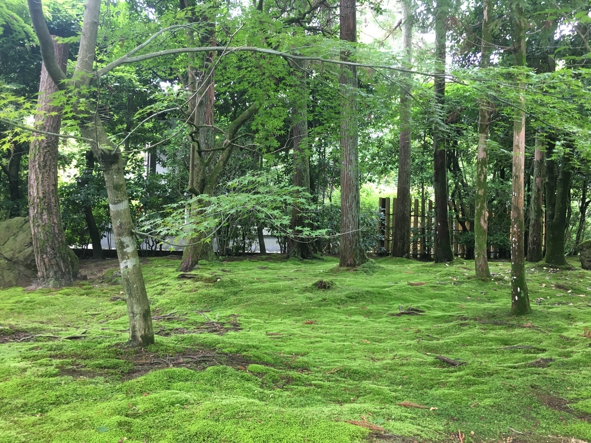 f:id:amumbrella:20190703233712j:plain