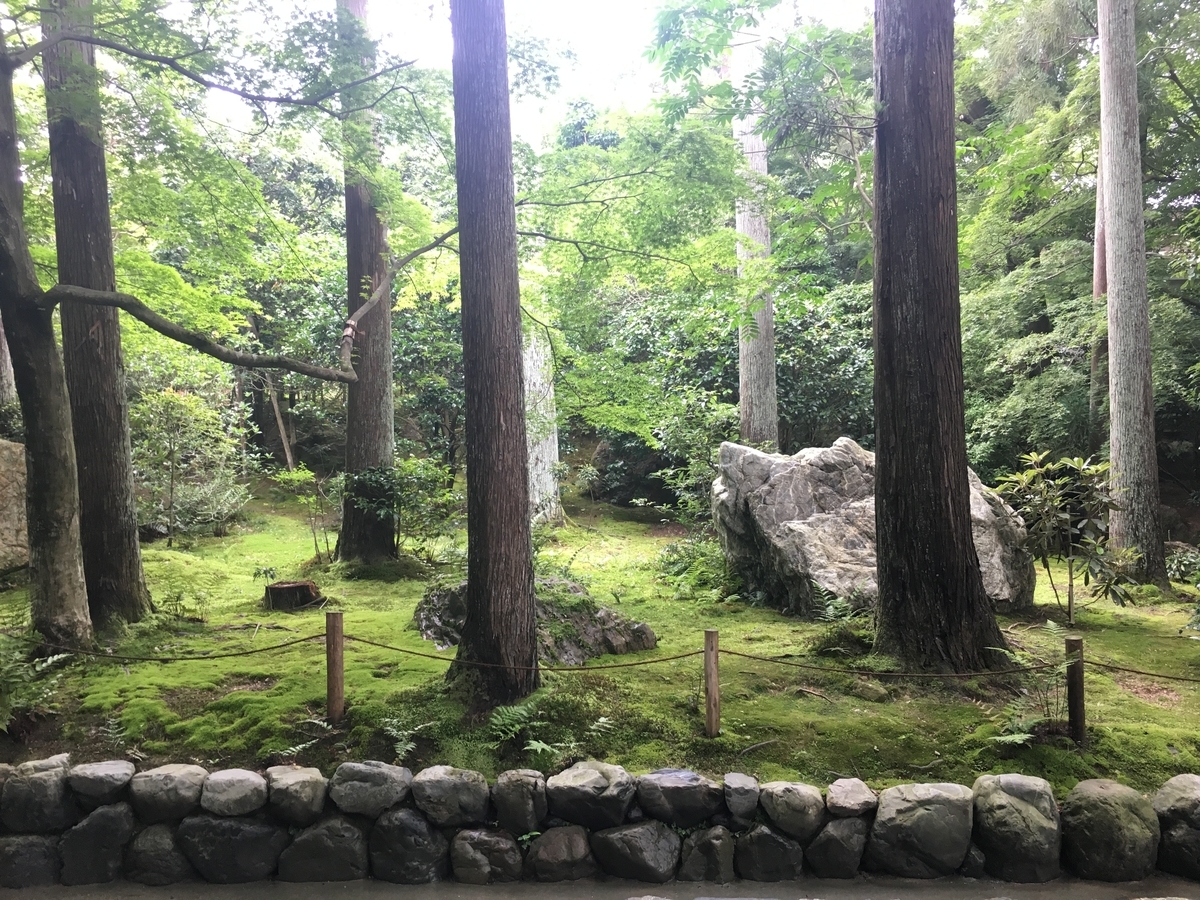 f:id:amumbrella:20190704010335j:plain