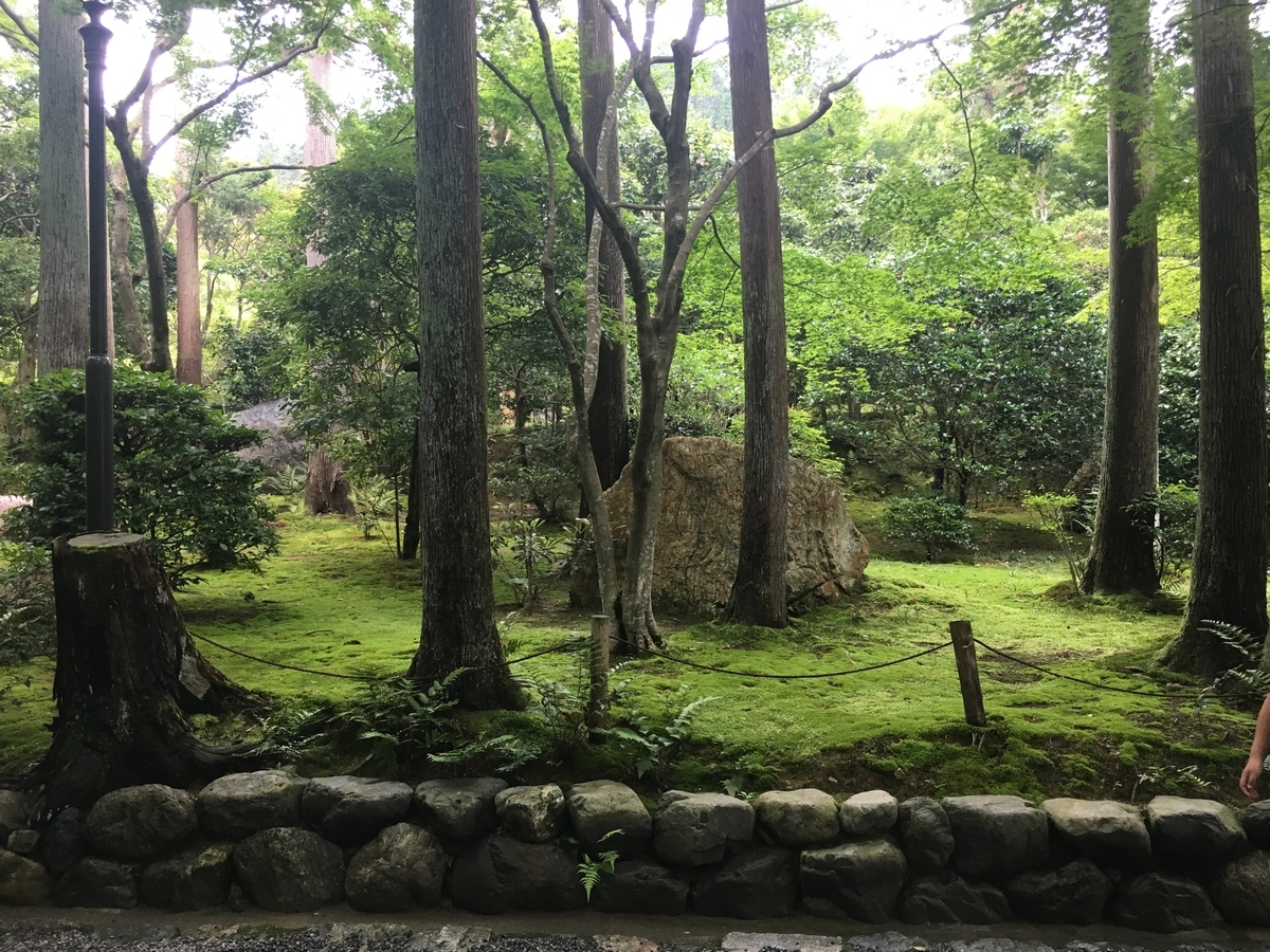 f:id:amumbrella:20190704010404j:plain