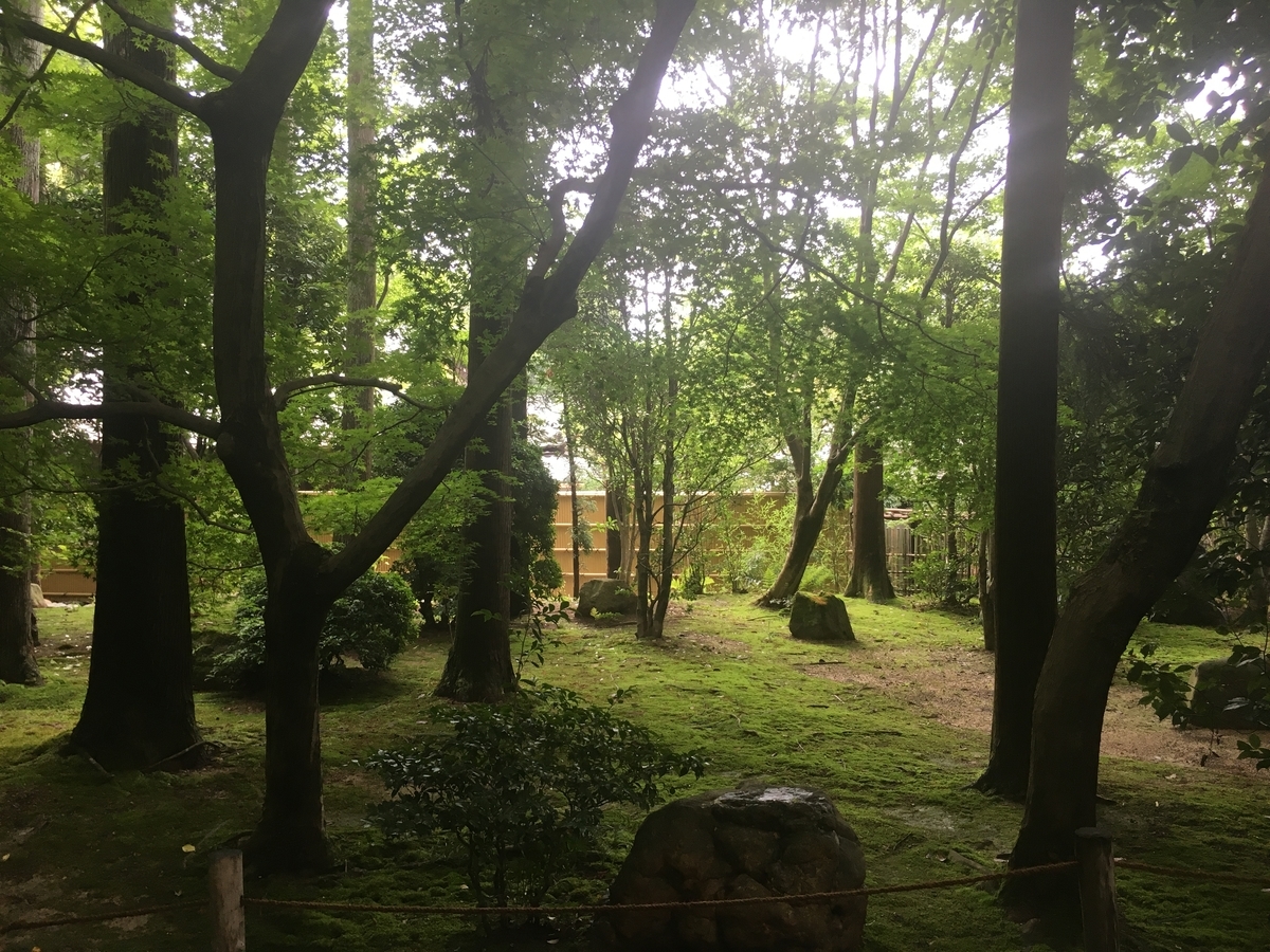 f:id:amumbrella:20190704010650j:plain
