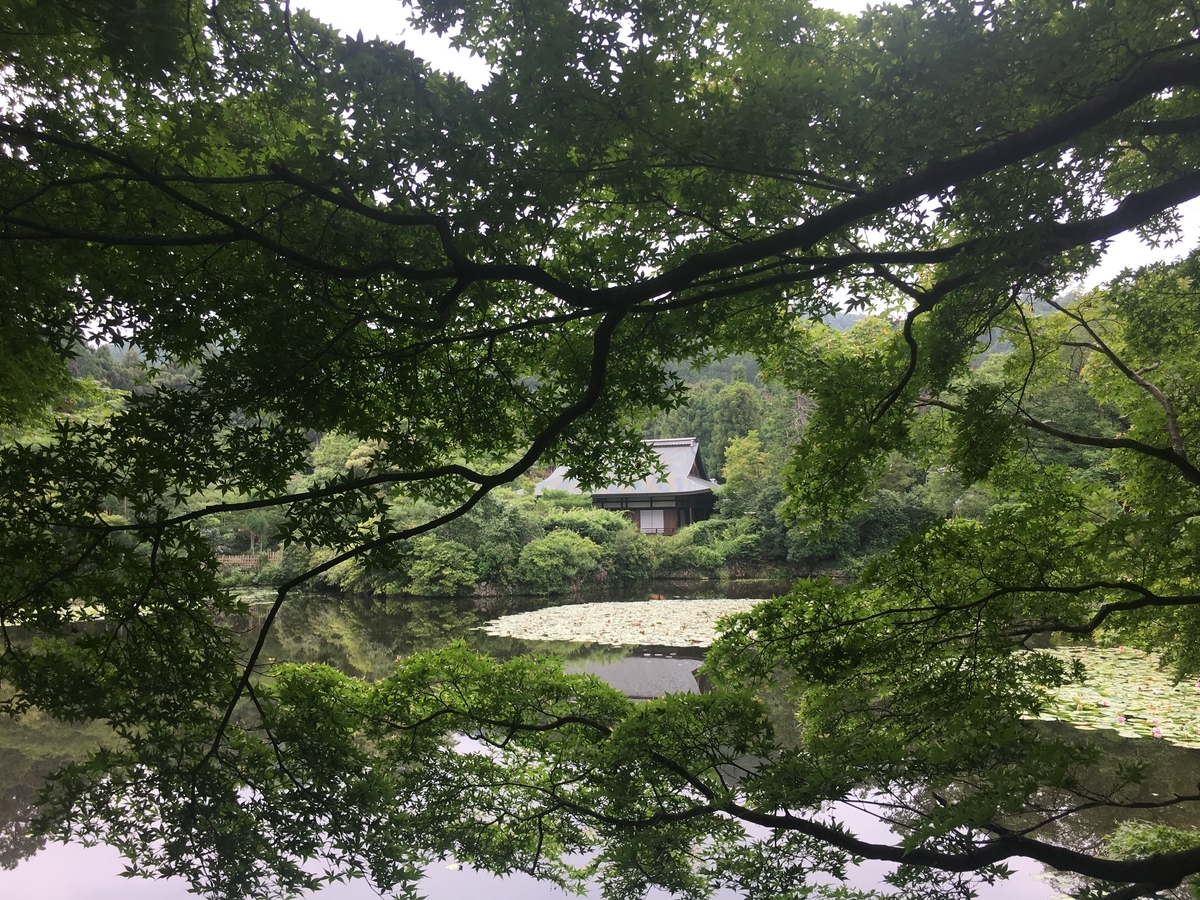 f:id:amumbrella:20190704011304j:plain