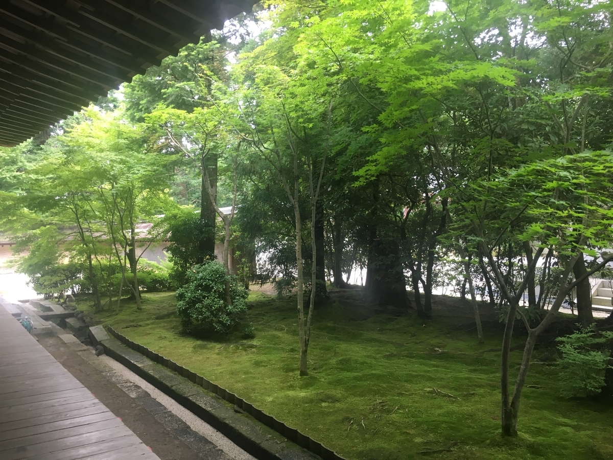 f:id:amumbrella:20190704104114j:plain