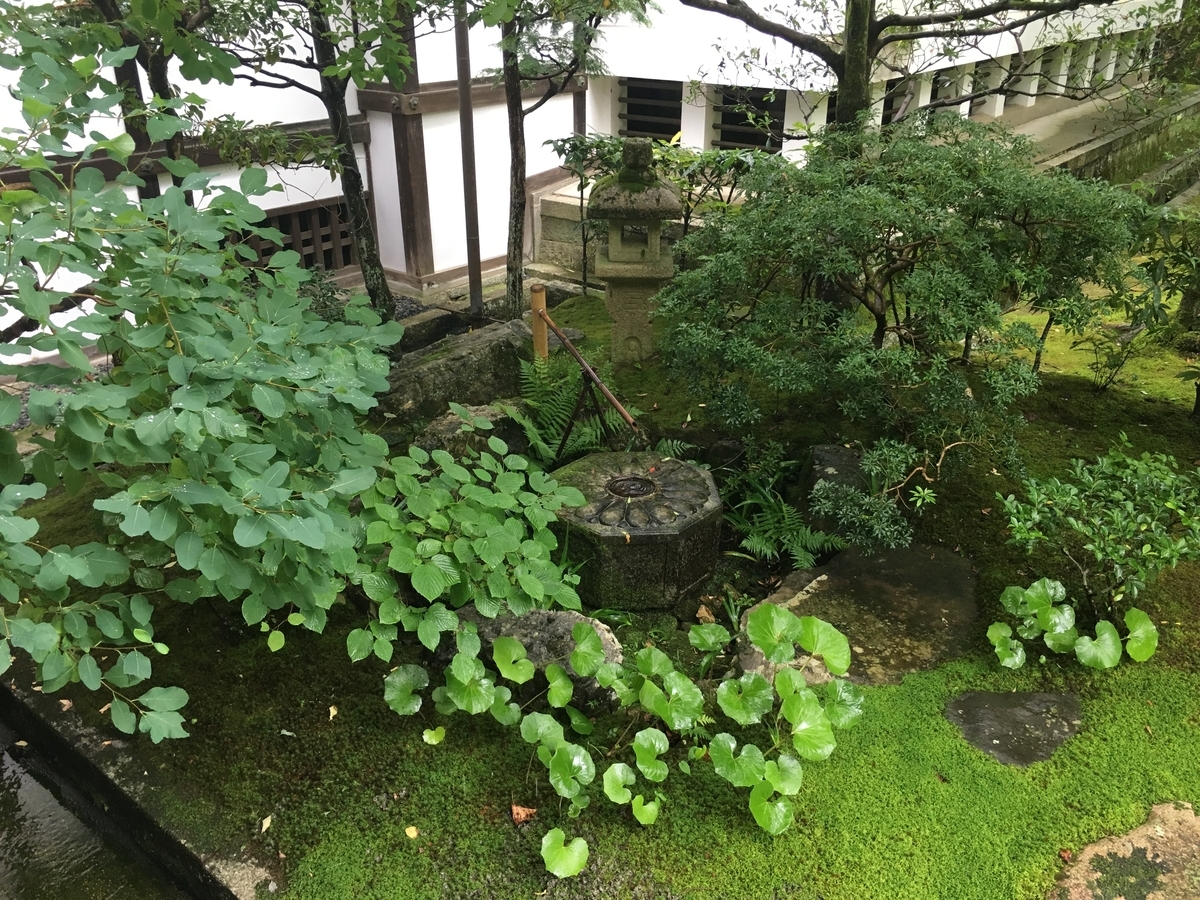 f:id:amumbrella:20190712150820j:plain