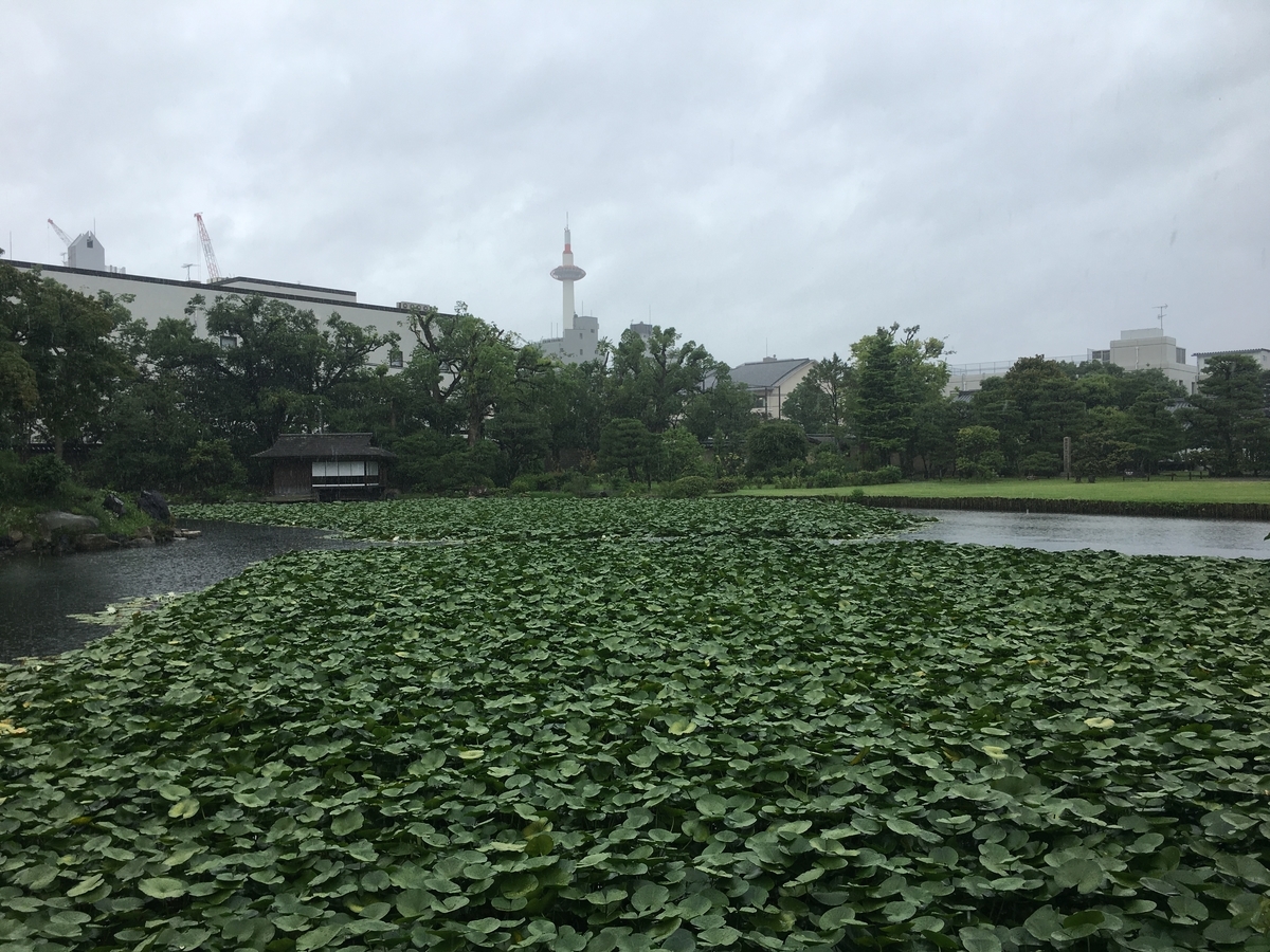 f:id:amumbrella:20190713194251j:plain