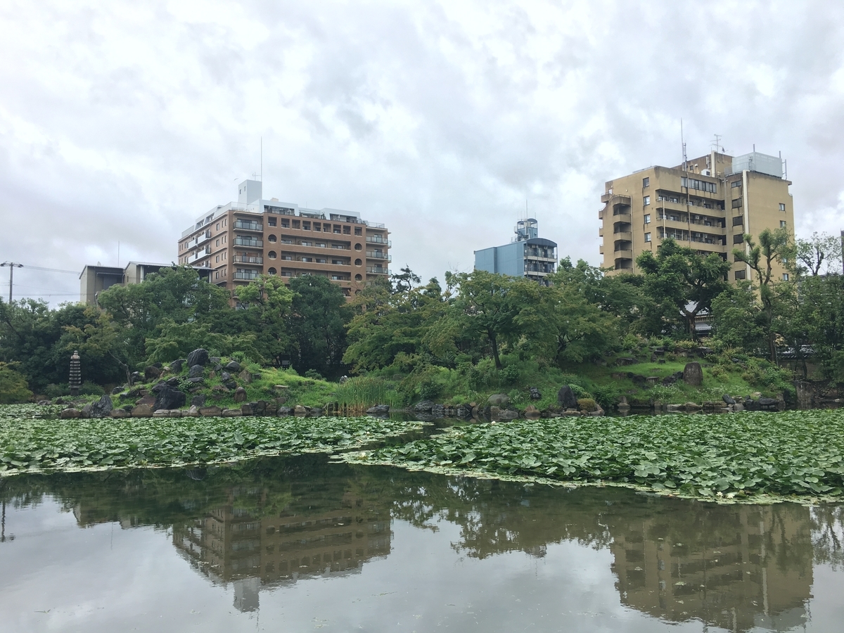 f:id:amumbrella:20190714020224j:plain