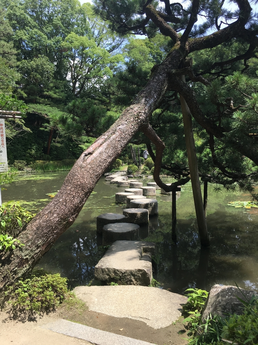 f:id:amumbrella:20190716010503j:plain