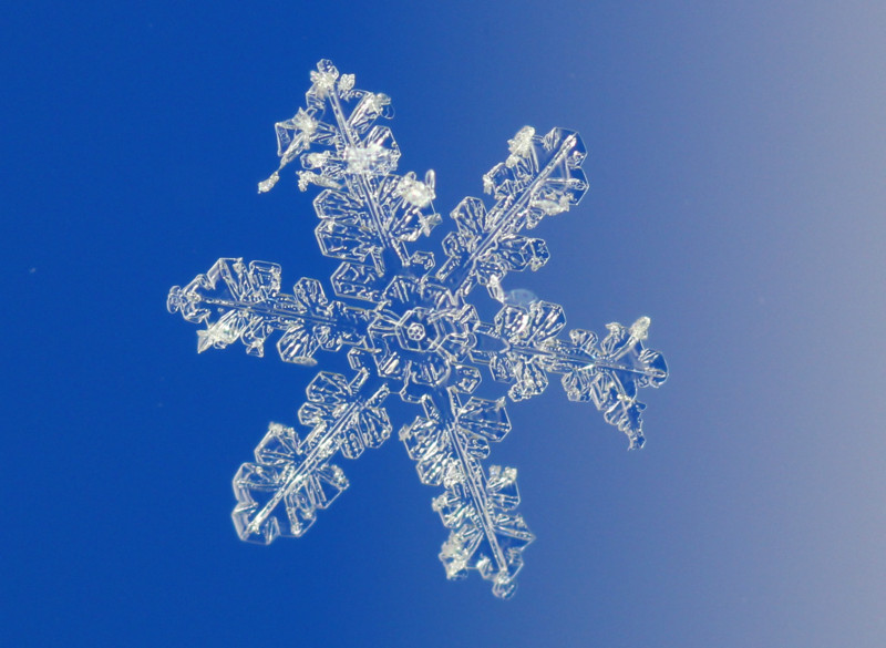 雪の結晶の撮り方は? - 厚木と中野ではたらく教授・牟田淳の奮闘日記