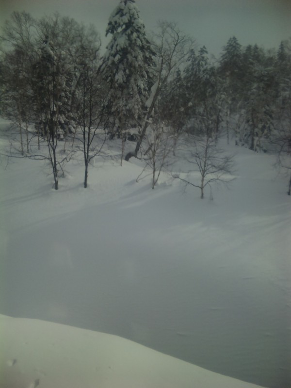 f:id:amuta:20130217094022j:image
