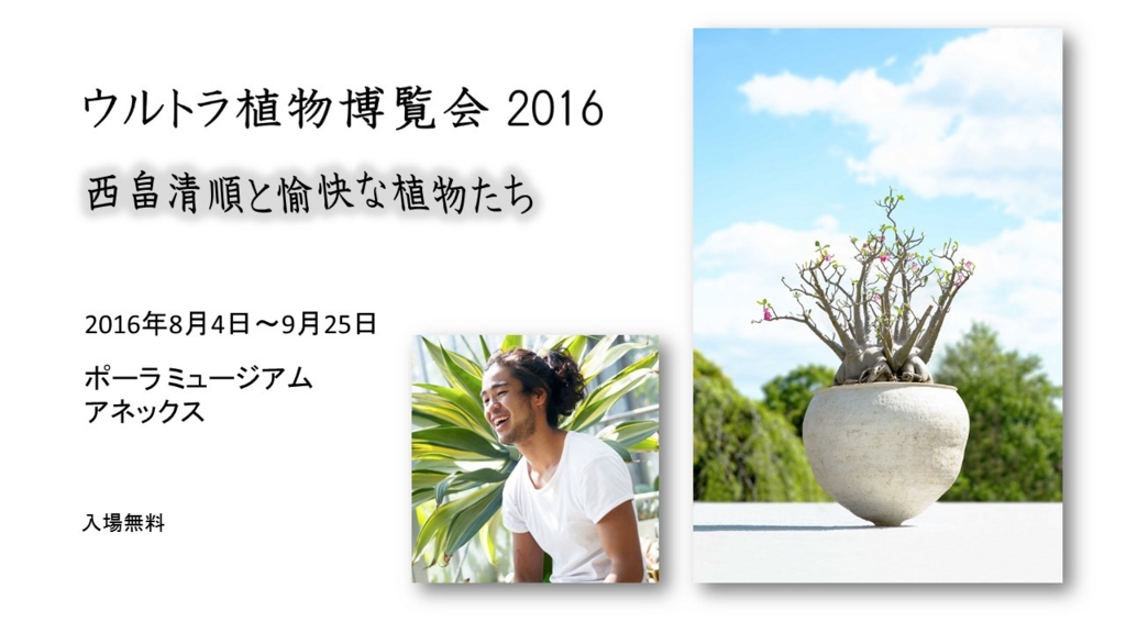 f:id:amuzen:20160827135531j:plain f:id:amuzen:20160827135531j:plain