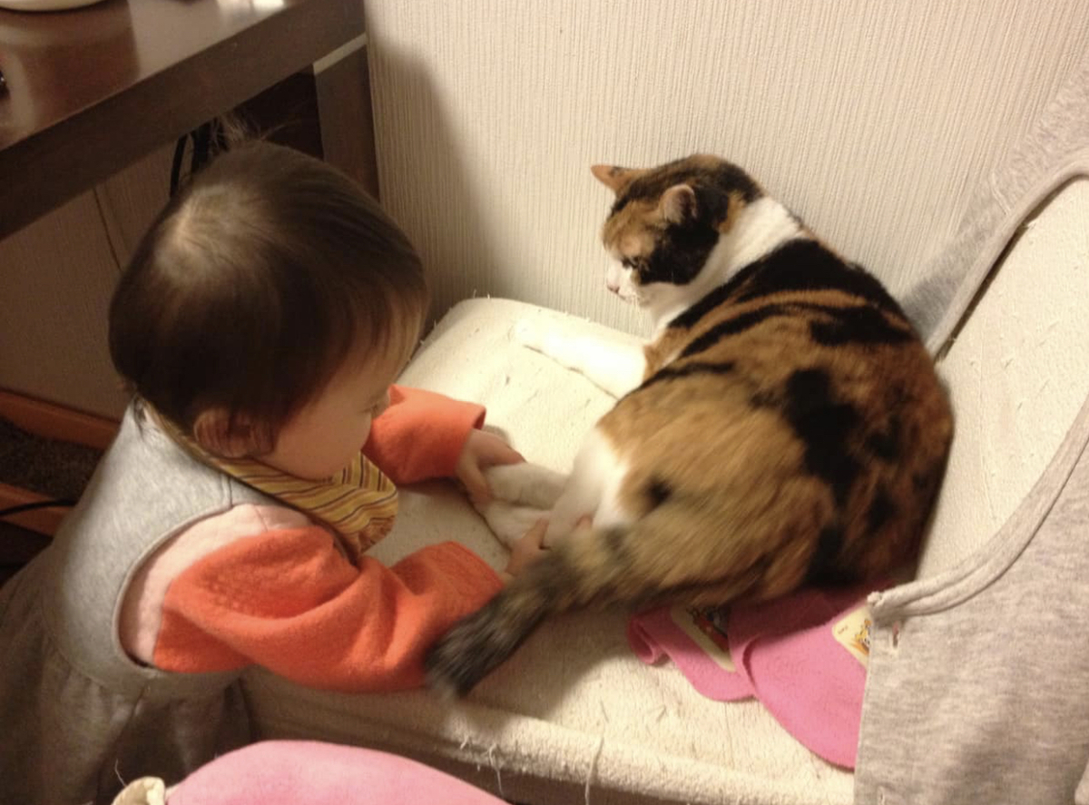 f:id:amyamyfu:20200222002956j:plain f:id:amyamyfu:20200222002956j:plain