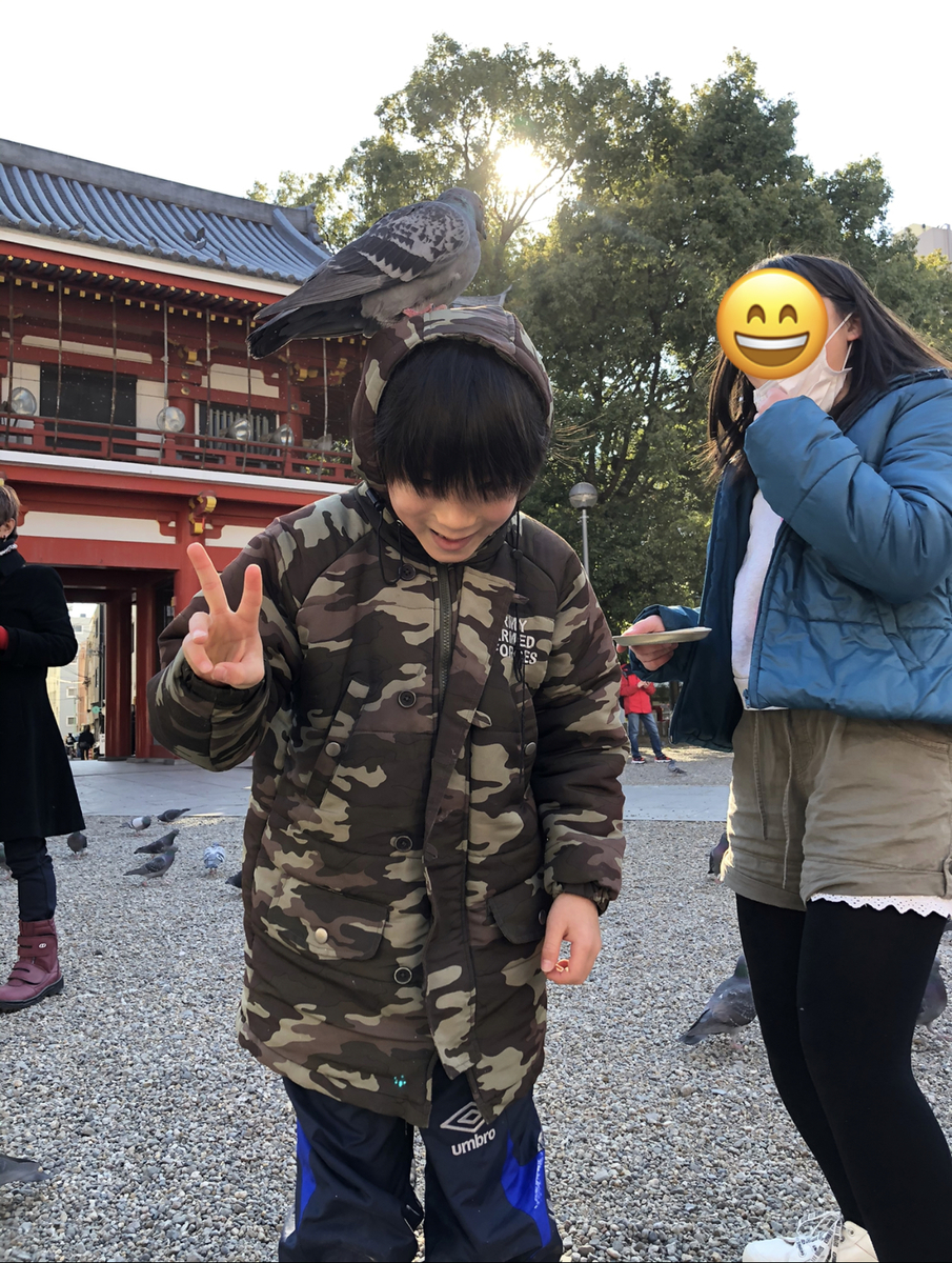 f:id:amyamyfu:20200413024131j:plain
