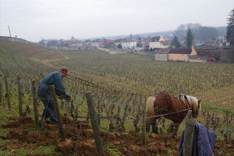 f:id:amz-dom-report:20130305115225j:image f:id:amz-dom-report:20130305115225j:image