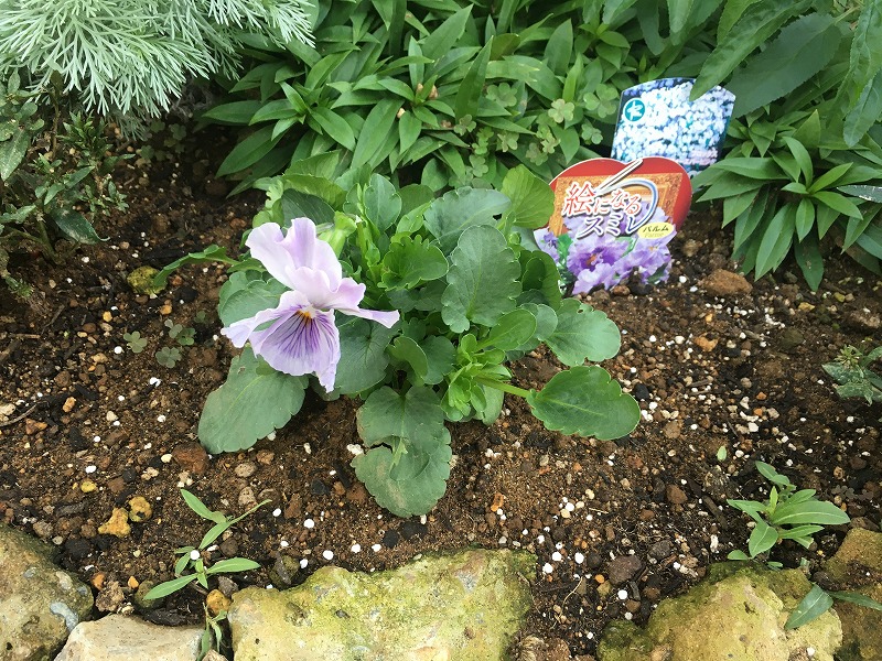 f:id:an-ei:20200216161641j:plain